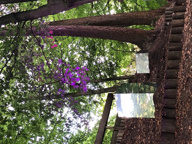 Zen.nl, Zen, meditatie, leren mediteren, foto